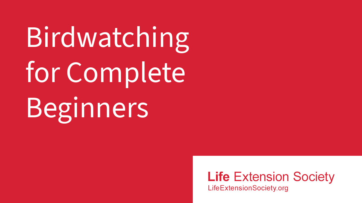 Birdwatching for Complete Beginners